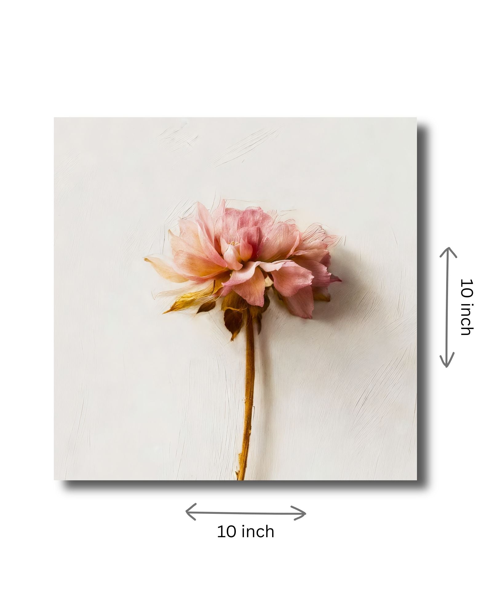 The Ephemeral Bloom - 10x10 inches